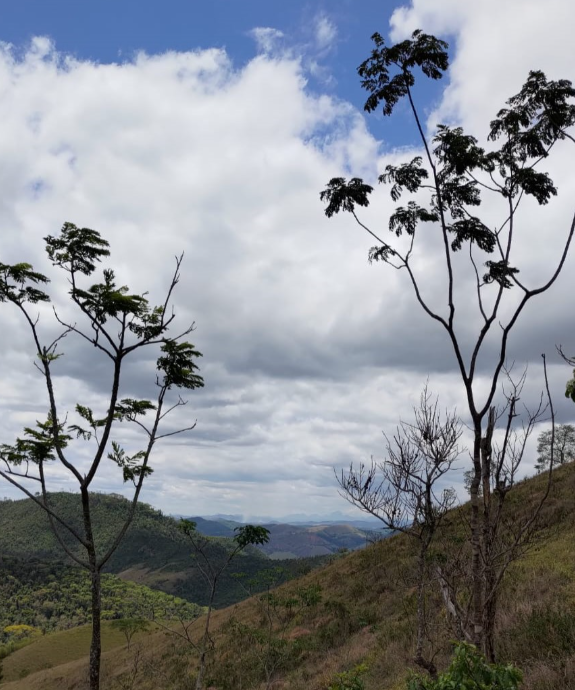 Rio abriga espécie rara com mais de 80 anos no Parque Estadual da Serra da Concórdia