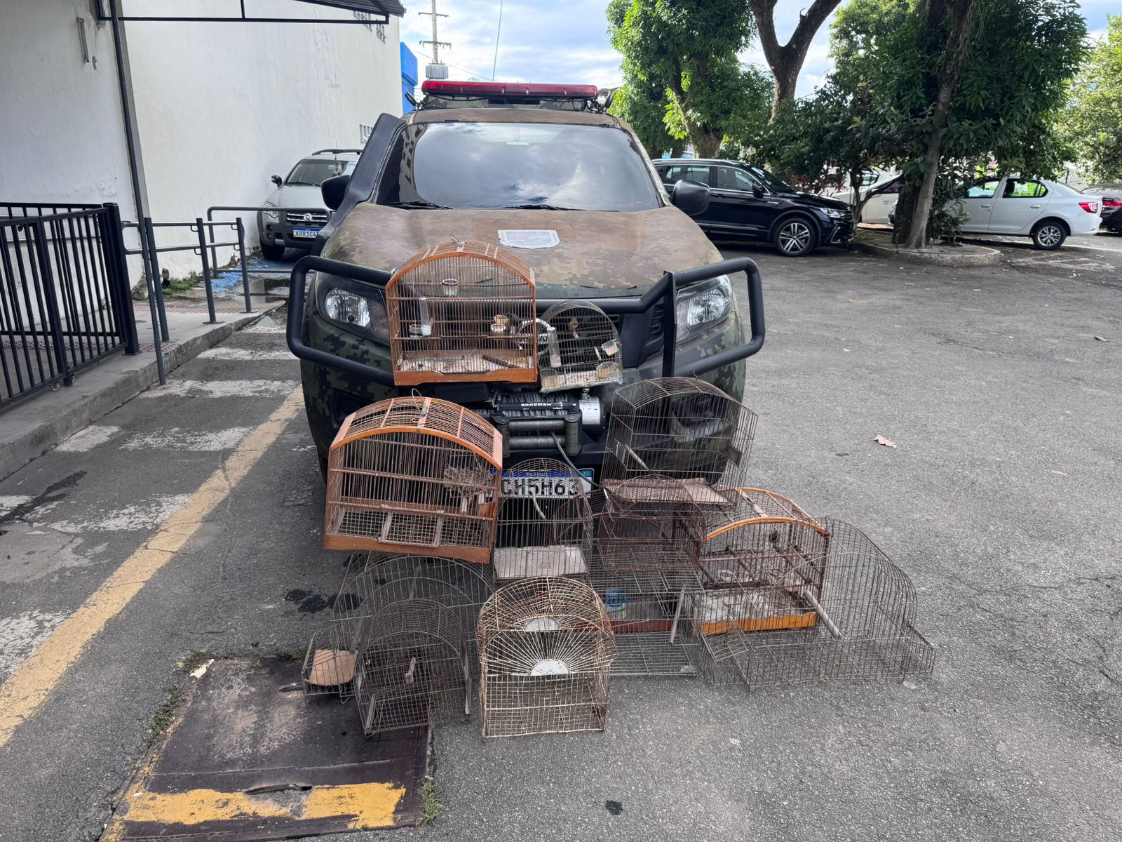 Barra Mansa: Guarda Ambiental apreende pássaros silvestres mantidos em cativeiro no bairro Vista Alegre
