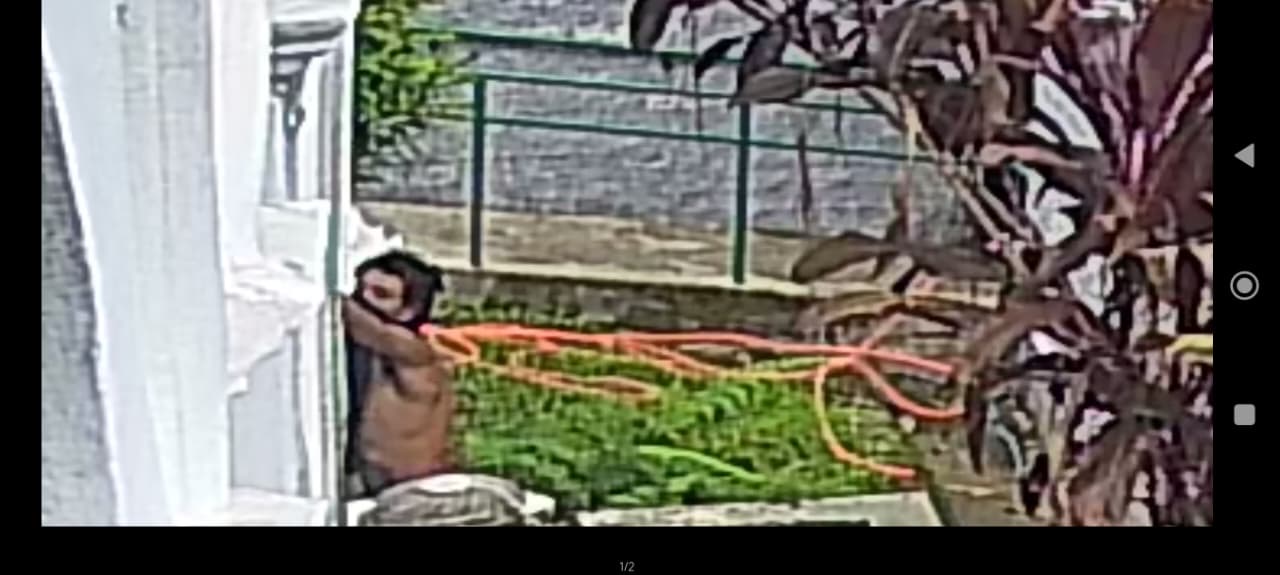 Câmeras de monitoramento são furtadas no Parque de Saudade, em Barra Mansa