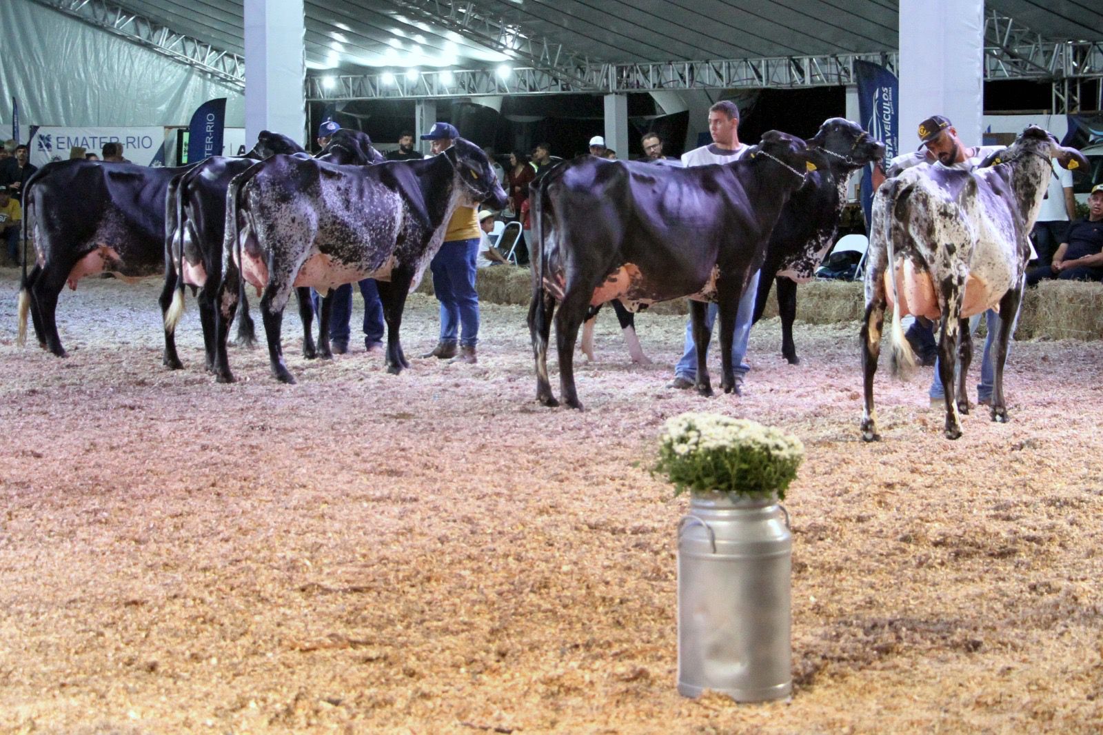 Expo Girolando 2026 consolida Barra Mansa na pecuária leiteira