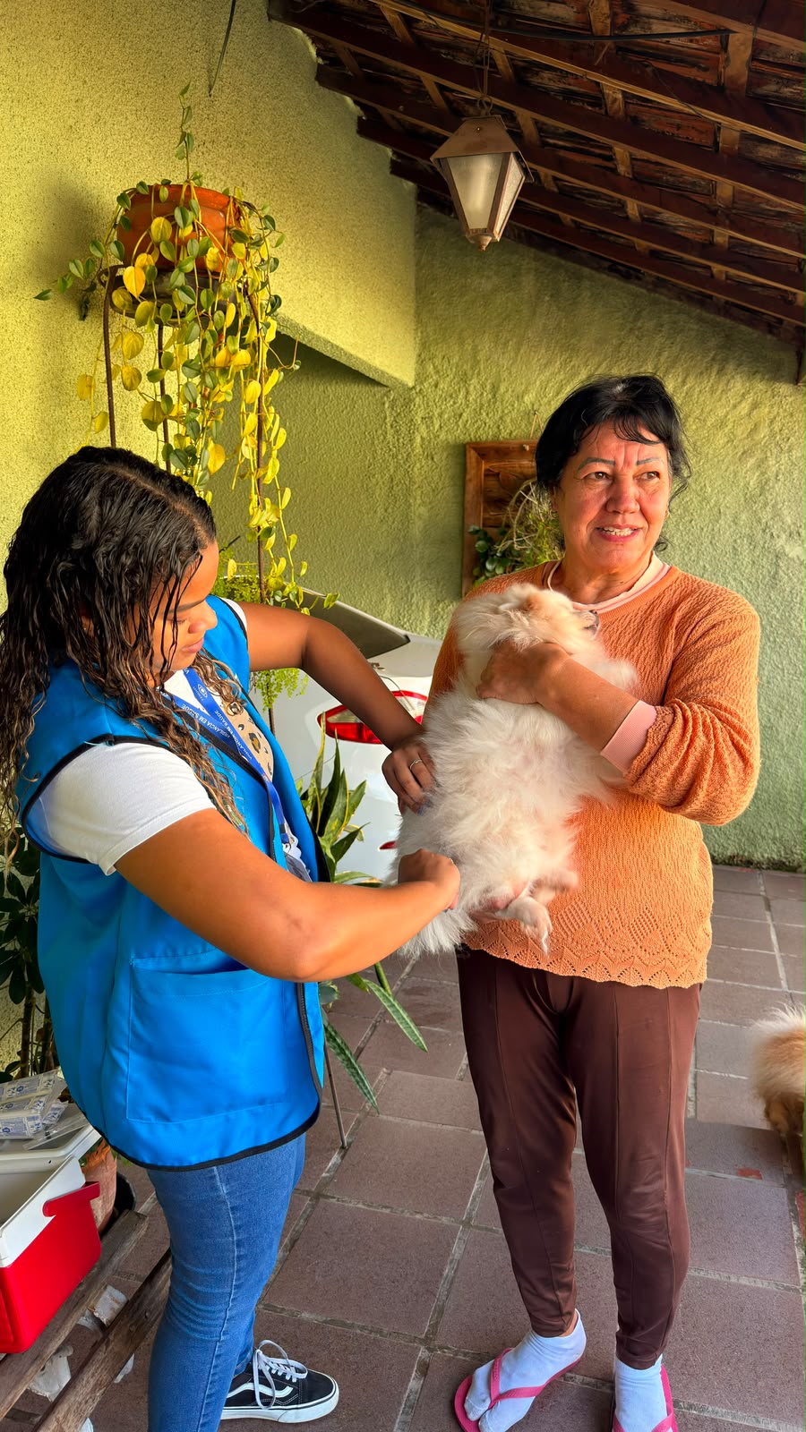 Campanha de Vacinação Antirrábica imuniza mais de 2 mil animais na Califórnia e abre calendário de vacinação em Barra do Piraí