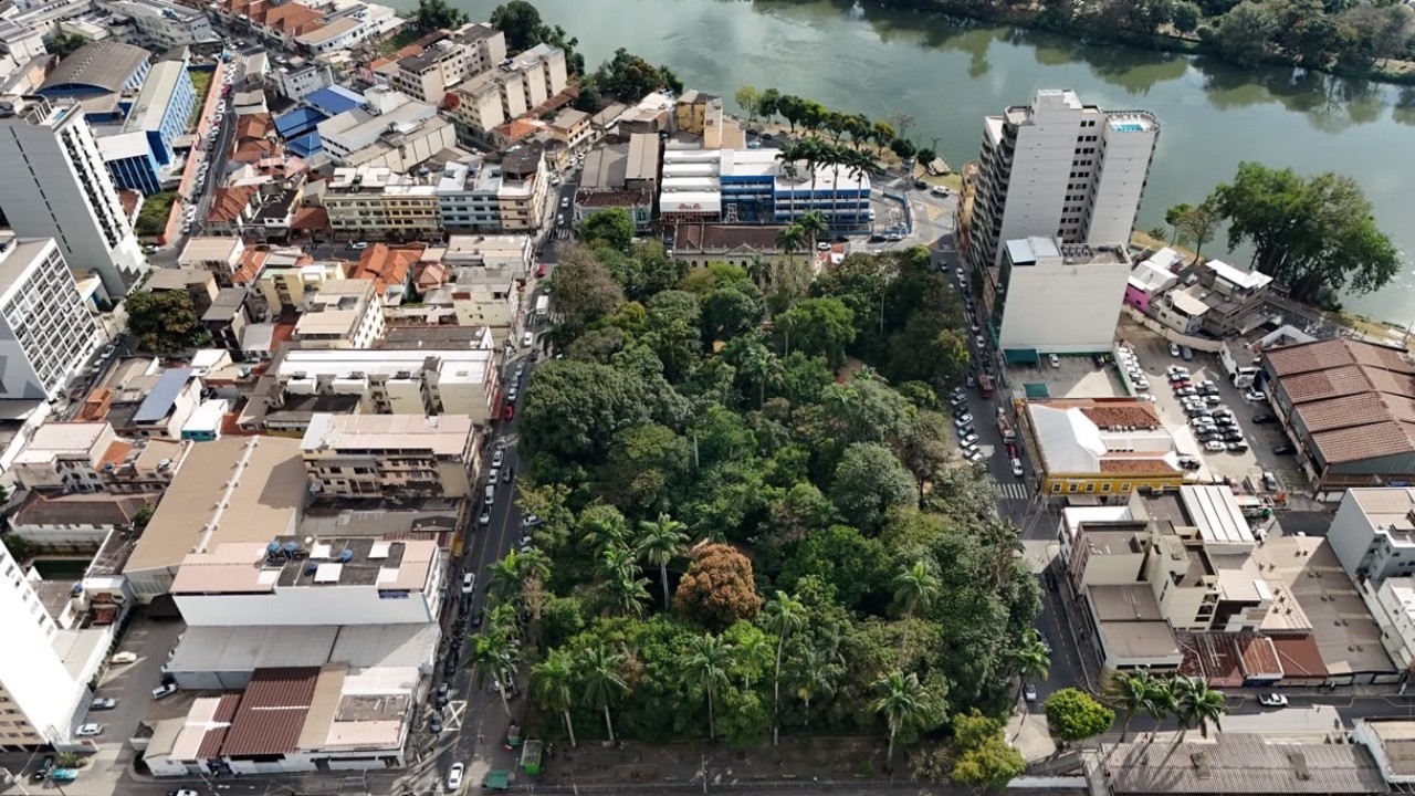 Barra Mansa: Ruas no entorno do Jardim das Preguiças serão interditadas neste sábado para manutenção arbórea